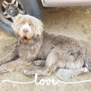 Meet your Posher, Casey